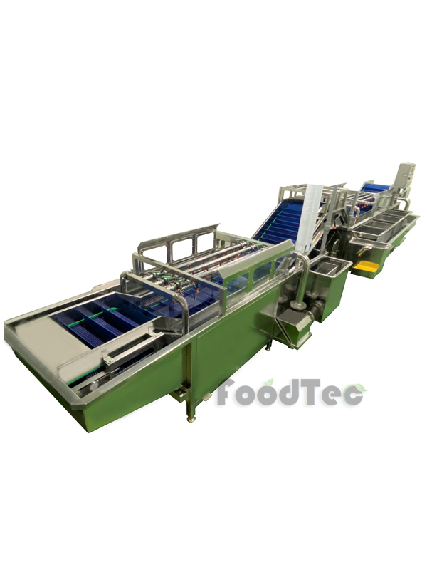 Fruit processing lines